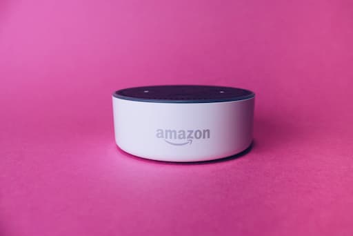 Image of an Alexa Dot